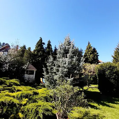 Apartament Fodi *
